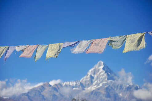 Nepal Semester: Himalayan Studies